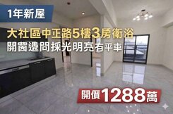 全程影片介紹♦️大社中正商圈全新明亮美正3房+平車