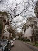 🍎楊梅幼獅旁典雅花園別墅