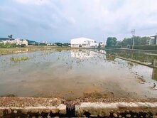 臨6米路｜二分半剛剛好｜地形平坦方方正正｜誠意價