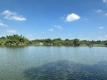 關廟區五甲段1.4分超值農地