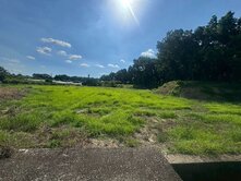 芒果的故鄉有水電4分多柏油路農地-C021