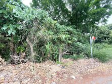 76快速道路旁｜有水井電力｜果園農地