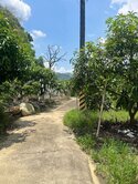 楠西私有+國有農地【J013】