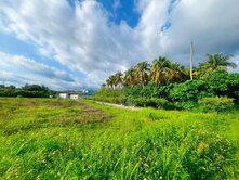 台南玉井市區臨路面寬1.25分低總價非都農地