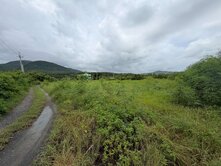 🚩都市計畫💢方正優質農地💢離塵不離城🏴