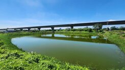 學甲中洲段3,836坪養殖用地