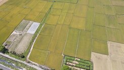 彰化 大村置產首選 科技產業園區預定地 農地