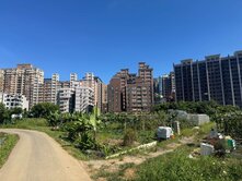 提前佈局/中正路旁G12綠線|單筆有路徵收田