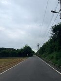 專任 新屋馬路旁低總價農地🏅投資自用首選