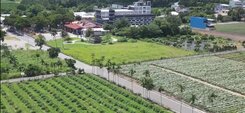 鹿野龍田醉美方正景觀農地