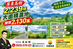 紘緯💕高樹市區旁💕2,263坪大面積農地