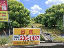 東山國中大庄低總價龍眼樹特定農地-S024