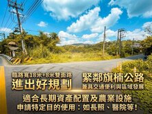 旗楠公路雙臨路農地1/2持分