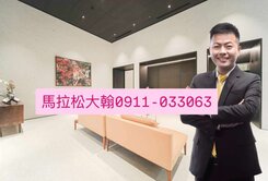 仰德美術館稀有景觀三房雙平車