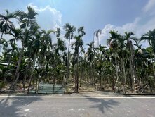 竹田地形方正臨路有水電漂亮美農地