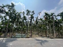 竹田地形方正臨路有水電漂亮美農地