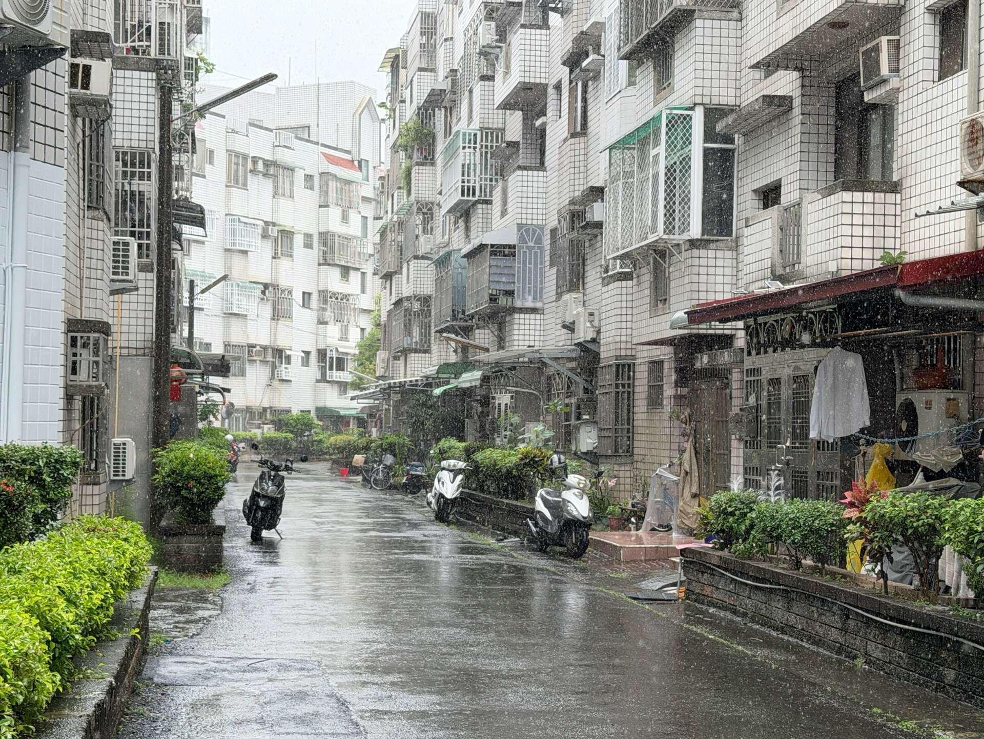 封面圖