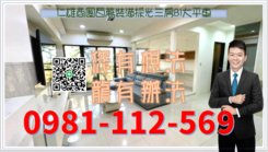 仁雄商圈百萬裝潢採光三房B1大平車