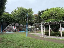 ⭐【近長庚醫院商圈｜稀有低總價鼎家｜置產優選】