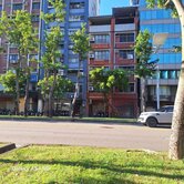 苓雅寮四維四路商圈大地坪大面寛透天店住(專)