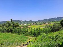 💢南埔國小山景休閒美農地【資材室送件申請中】