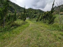《卑南鄉》【斑鳩九千坪】增值便宜◆超大面積農地