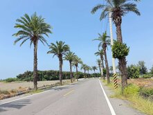 四湖林厝寮雙面路農地