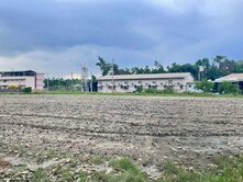 🌳內埔壽比｜千坪｜低價位｜優質農地🌳