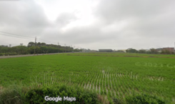 新屋槺榔雙面路美農地