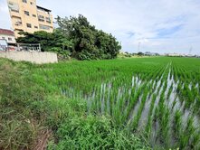 彰化交流道特定區｜傳產創新加值區｜區段徵收規劃農地