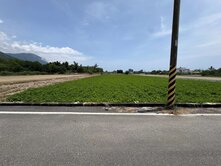 城近台九線二分多農地F931