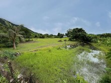 【花蓮干城｜不冬不盡水源雙面路農地】F934