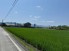 （專售）鳳林方正優質農地