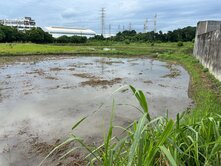 仁武善德段稀有農地｜區域發展・置產首選