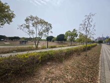 獨家14期洲際段｜面寬近14米百坪建地可蓋兩戶