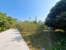 專任資產配置首選草屯大面寬低總價荔枝園