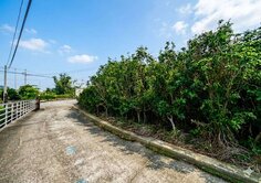 神岡國豐段潛力地都計內農地