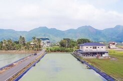 美濃✨雙臨路✨大面寬✨方正農地