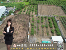 【專約】大社3.19分臨路農地✨地主誠意出售