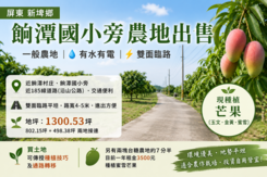 屏東*新埤餉潭國小旁.近沿山公路*一般農地有水電