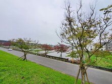 👉緊急降價通知全區最便宜，宜市才98萬的農地！
