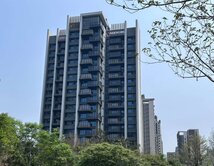 禹橋帶你找好房 縣三核心地段椰林視野豪宅