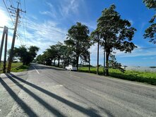  義竹鄉三面路平坦農地