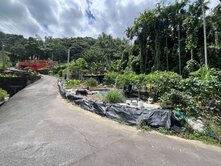 周圍有住家之車可到有自來水有電平坦美農地
