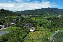 超值農舍~集鹿大橋旁瑞田平坦養生822坪農地