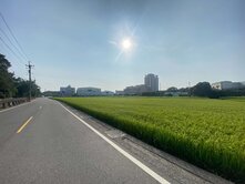 🎇大林路漂亮角農地💖八米路角地🎯方正好用💋