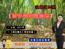 阿如🥕近國道四【筍子園農地】潭子新田▪三光福德祠