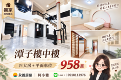獨家頭家明星學區｜樓中樓大四房+平面車位958萬