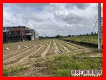 新化近國八726農地
