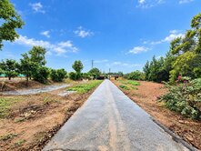 通霄千坪休閒土地